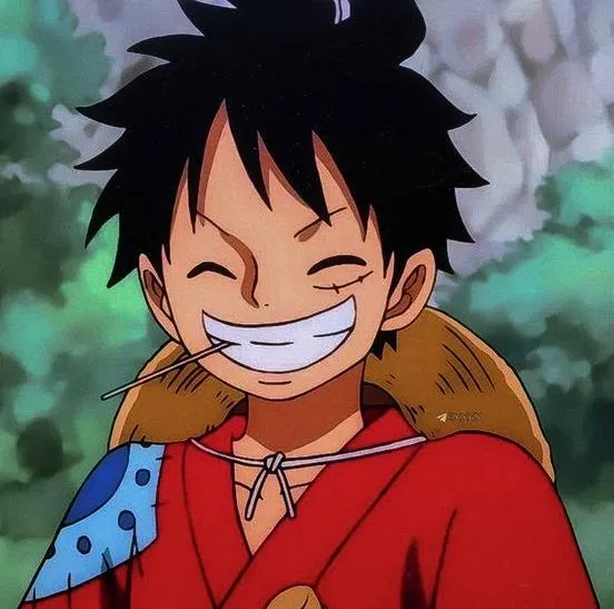 Profile picture in luffy pfp