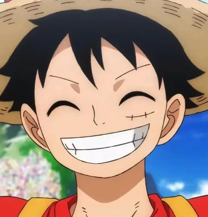 Profile picture in luffy pfp