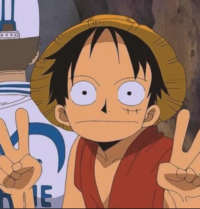 Profile picture in luffy pfp